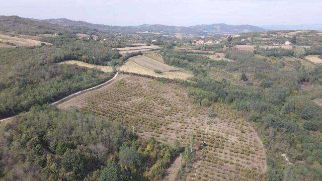 Plac, Prodaja, m2, Donje Štiplje, Okolno mesto, Jagodina