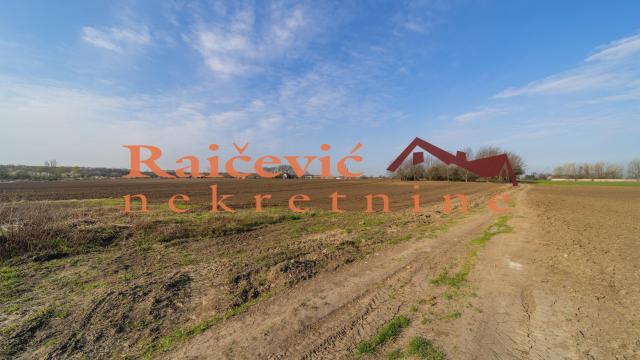 Plac, Prodaja, 7700m2, Plavi horizonti, Zemun, Dobanovacka rampa