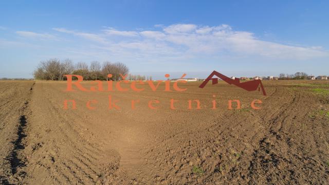 Plac, Prodaja, 7700m2, Plavi horizonti, Zemun, Dobanovacka rampa