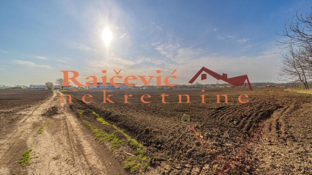 Plac, Prodaja, 7700m2, Plavi horizonti, Zemun, Dobanovacka rampa