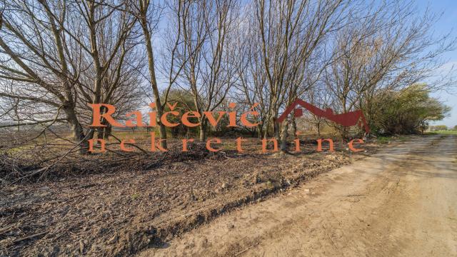Plac, Prodaja, 7700m2, Plavi horizonti, Zemun, Dobanovacka rampa
